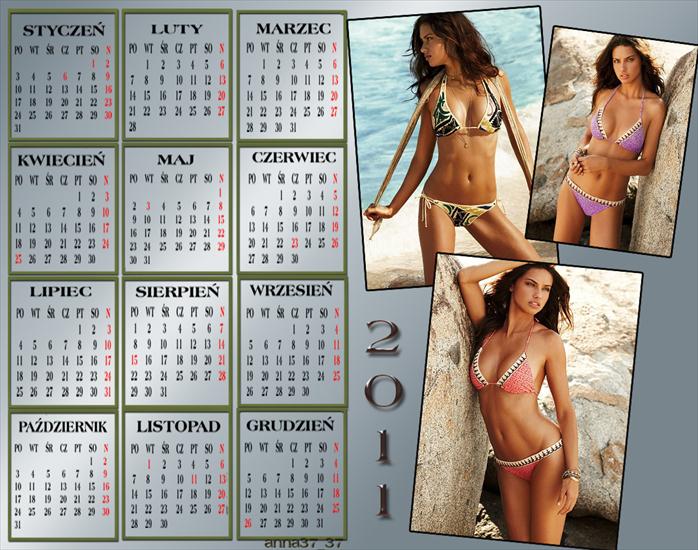Kalendarze 2011 - anna 37_371.png
