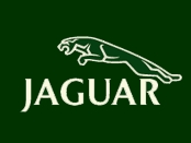 Bryki - jaguarlogo.jpg