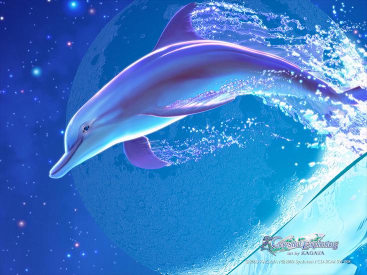 kochane delfiny - Synchronicity.3.jpg