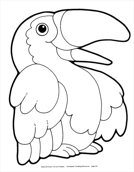 Biggie Patterns - Favorite Themes Scholastic - Big Pat Themes page 24 toucan.JPG