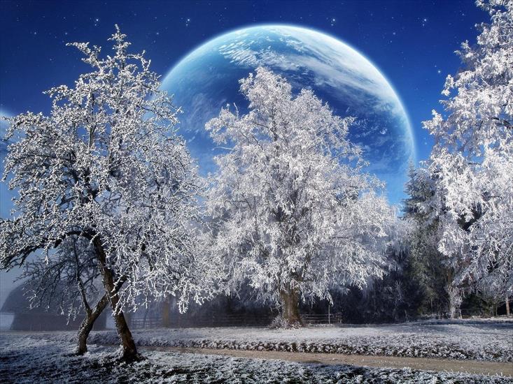 Kosmos, Planety Space, Planets - Winter Garden.jpg