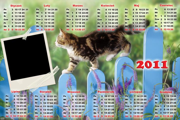 1.Kalendarze 2011r - Kalendarz 2011 kot1.png