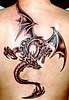 Tatuaże - dragon_back2_m.jpeg