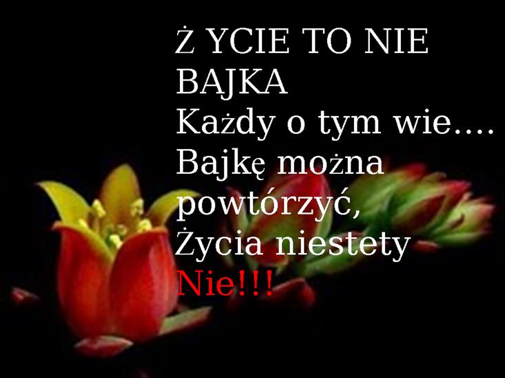 3 - życie....png