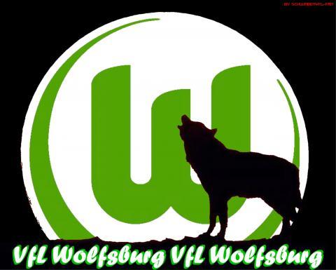 Vfl Wolfsburg - mid_W_lfe.jpg