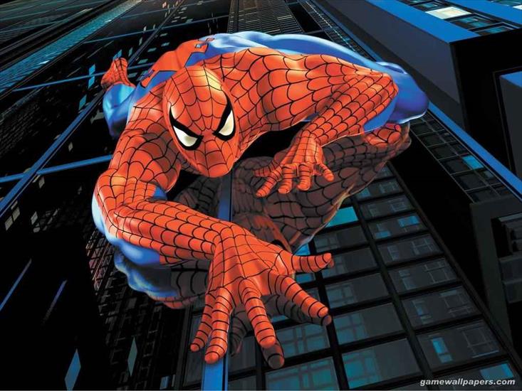 tapety - 103702spiderman_-_wallpaper.jpg