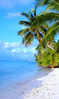 Tapetki 240x400 - Tropic_Island.jpg