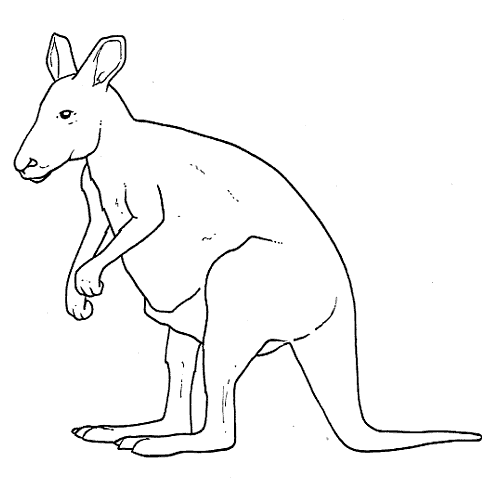 Zwierzaczki - kangur.bmp