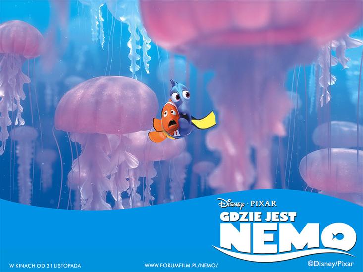 Gdzie jest Nemo - nemo 3.jpg