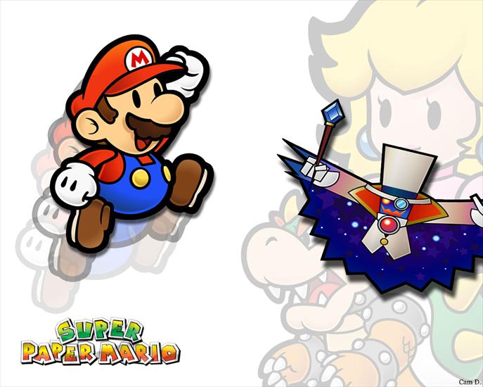 Super Mario Bros - Super_Paper_Mario_Wii,_2007.jpg