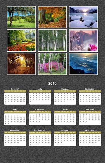  KALENDARZE_PLANY LEKCJI - kalendarz 2010 rok.jpg