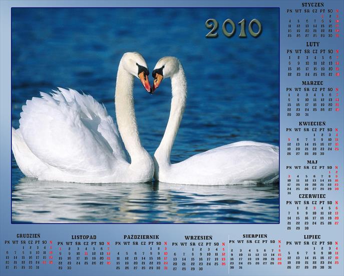 Kalendarze 2010 - Kalendarz 201039.jpg
