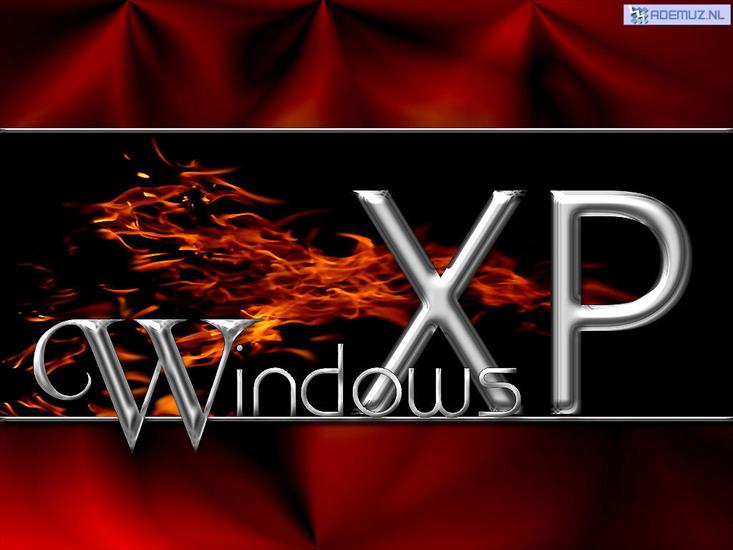 WINDOWS XP - tapety_widows_62.jpg