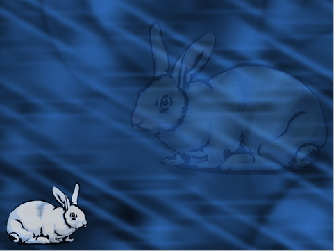 zwierzęta - królik1.png