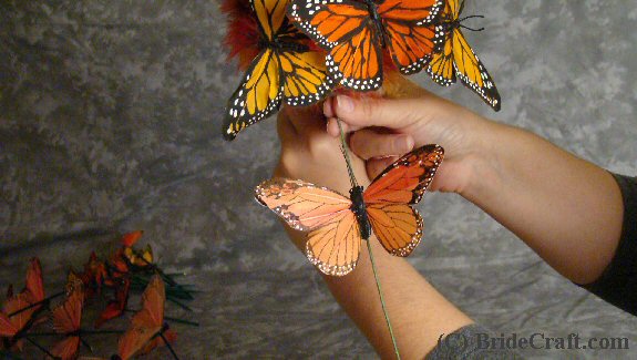 Z motylkami - 08.jpg