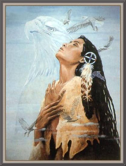 Galeria - INDIANIE - The-Eagles-Journey-585x768.jpg