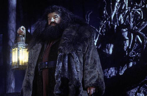 Kamień Filozoficzny - Rubeus Hagrid.jpg