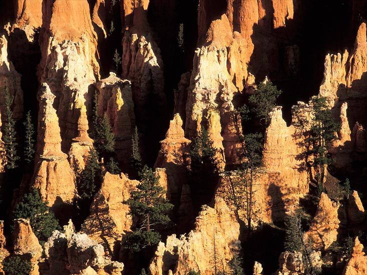 1 - Hoodoos in Bryce Canyon National Park, Utah.jpg