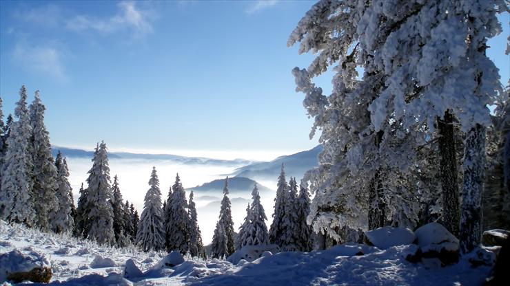 5 Tapety HD Natura - Snowy_Landscape_1920x1080 HDTV 1080p.jpg