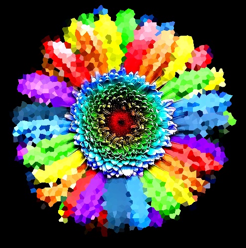 kolorowe kwiatki - bbbbb.jpg