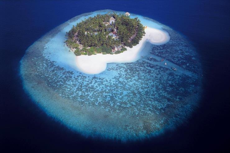 Tapety - Aerial View of a Tropical Island, Maldives.jpg