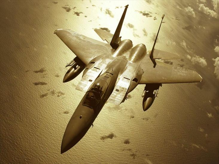 F-15 - f-15c sepia.jpg