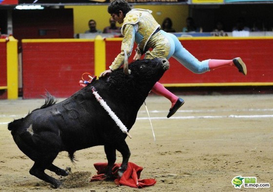 Pogromcy byków - spain-spanish-bullfighting-matadors-16-560x393.jpg