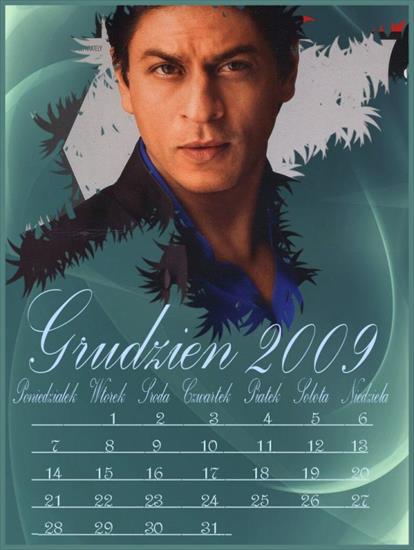 Shah Rukh Khan - 12-1.jpg