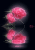 Kocham róże - c066e10b000c9fbe46b72822.gif