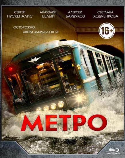 Metpo 2013-alE13 - poster.jpg