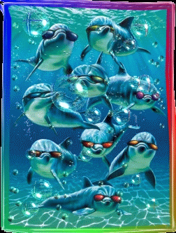 Ryby i delfiny - 16.gif