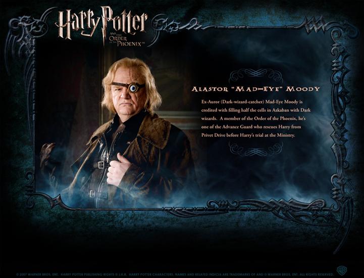 Character Profile - Character-Profile-harry-potter-130065_1050_800.jpg