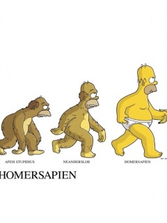 tapety - Homersapien.jpg
