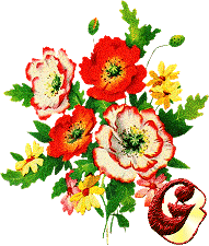 Alfabety z Bukietem kwiatów - 021 - G.gif