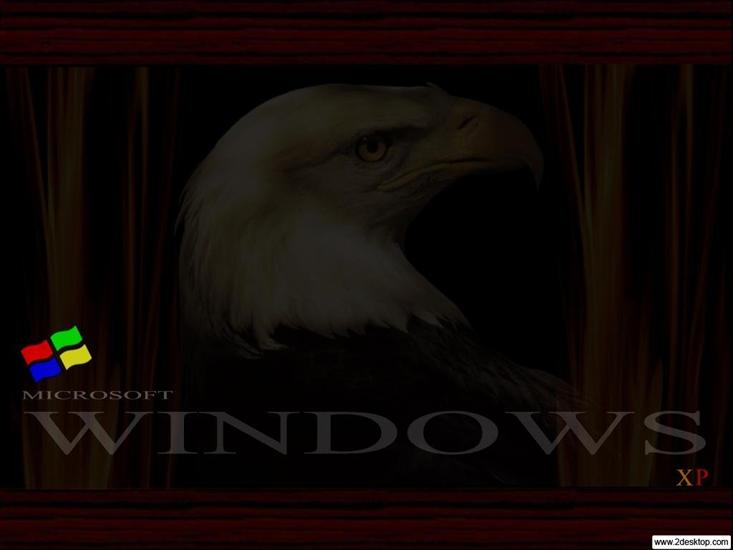 Tapetki HD - Windows_XP_White_Eagle 1024_768.jpg