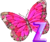 Motyle - 2z.gif