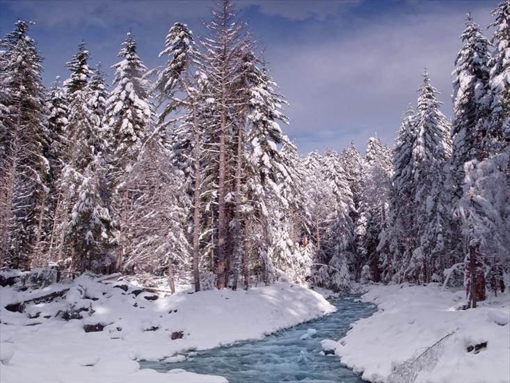 Krajobrazy3 - Rainier Creek in Winter, Mount Rainier National Park, Washington.jpg