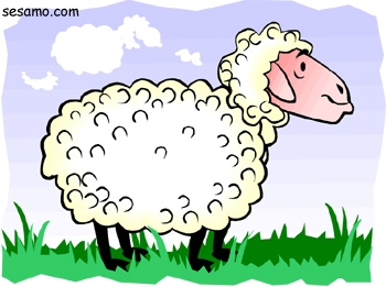 Zwierzęta ilustracje - sheep.jpg