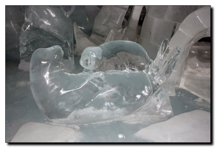 rzeźba z lodu - mn1 96.jpg