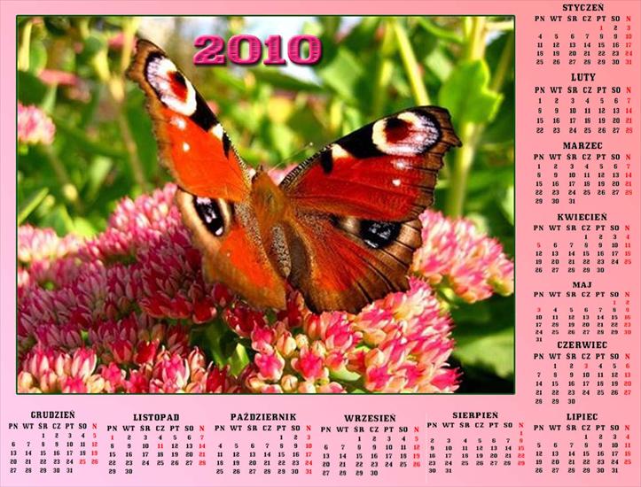 Kalendarze z motylkami - Bez nazwy 64.jpg