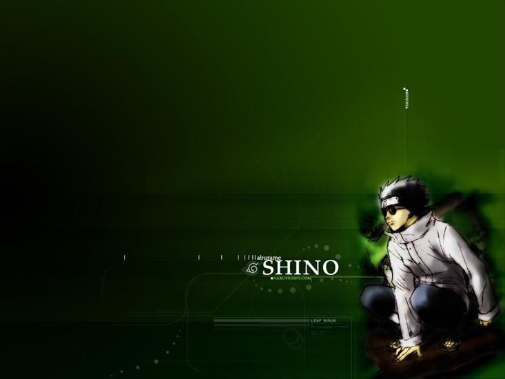 Shino - 31.jpg