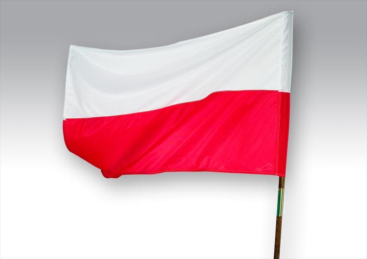 Sztandary Polski - 466071325.jpg