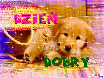 DZIEŃ DOBRY - dzie-dobry-7073.jpg