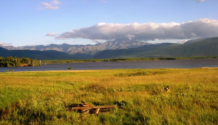 tundra, tajga, Bajkał - Siberia 2008 303.jpg