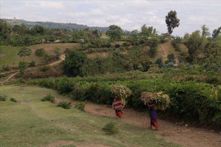 Tanzania - Tanzanian_farmers_Arusha.jpg