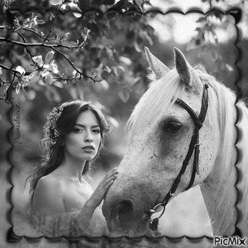 Konie_________piękne konie - 10298750_adba11.gif