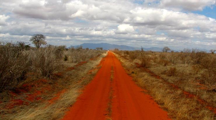 Kenia - tsavo.jpg