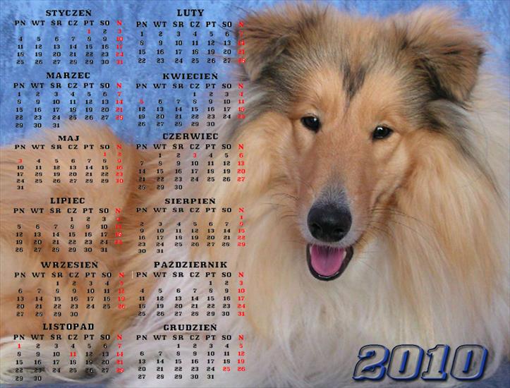 KALENDARZE - kalendarze 2010 4.jpg