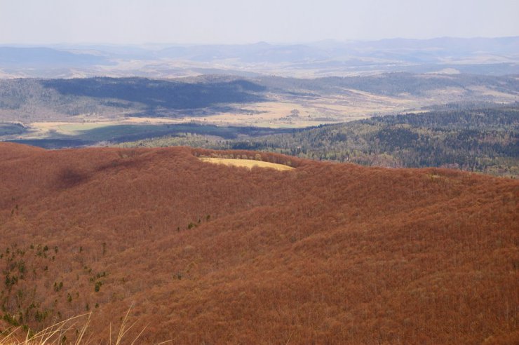 FOTO BIESZCZADY I - 2007 05 04 Bieszczady 101_edited-1.jpg