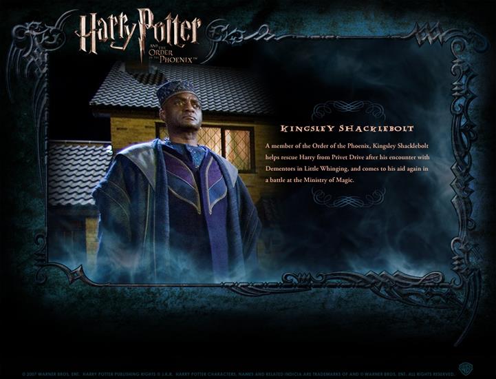 Character Profile - Character-Profile-harry-potter-130072_1050_800.jpg